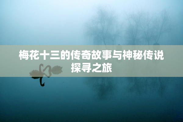 梅花十三的传奇故事与神秘传说探寻之旅
