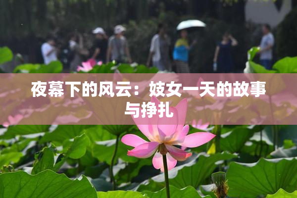 夜幕下的风云：妓女一天的故事与挣扎