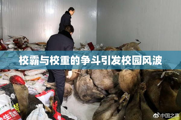 校霸与校重的争斗引发校园风波