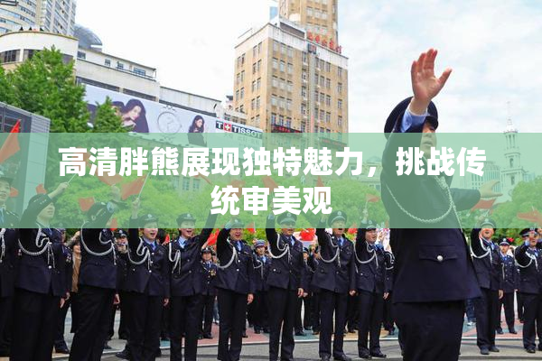 高清胖熊展现独特魅力，挑战传统审美观