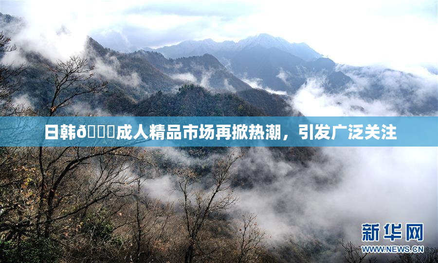 日韩🔞成人精品市场再掀热潮，引发广泛关注