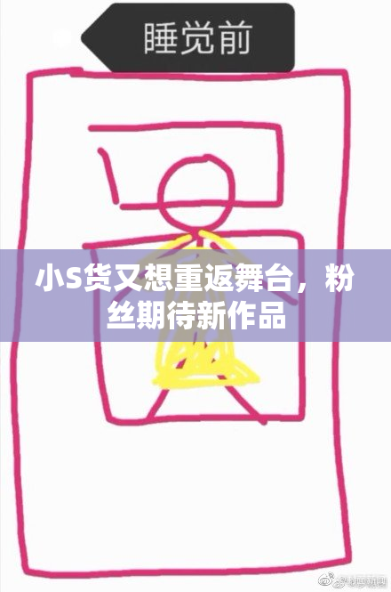 小S货又想重返舞台，粉丝期待新作品