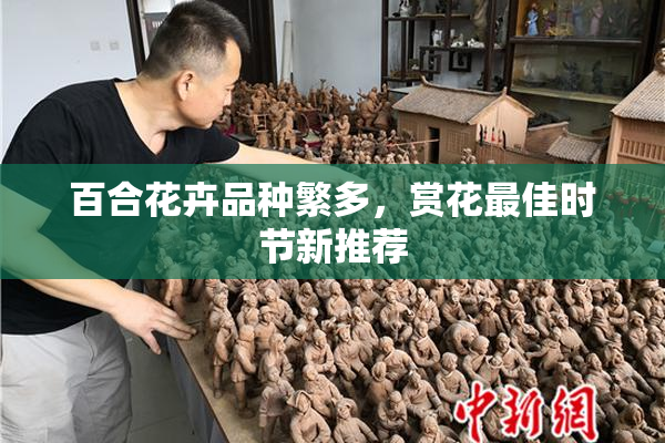 百合花卉品种繁多，赏花最佳时节新推荐