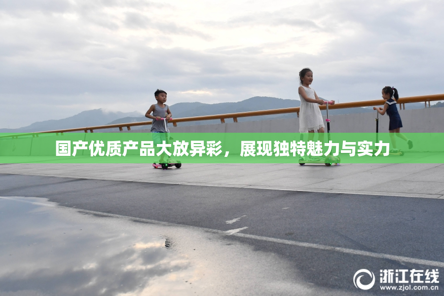 国产优质产品大放异彩，展现独特魅力与实力