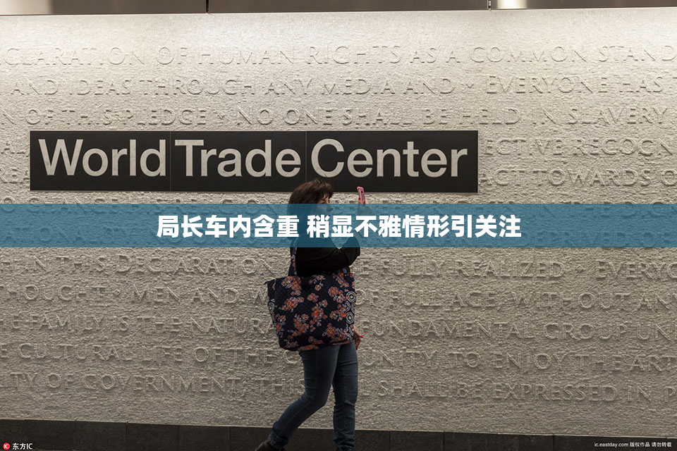 局长车内含重 稍显不雅情形引关注