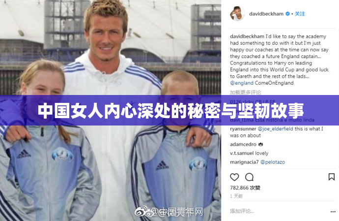中国女人内心深处的秘密与坚韧故事