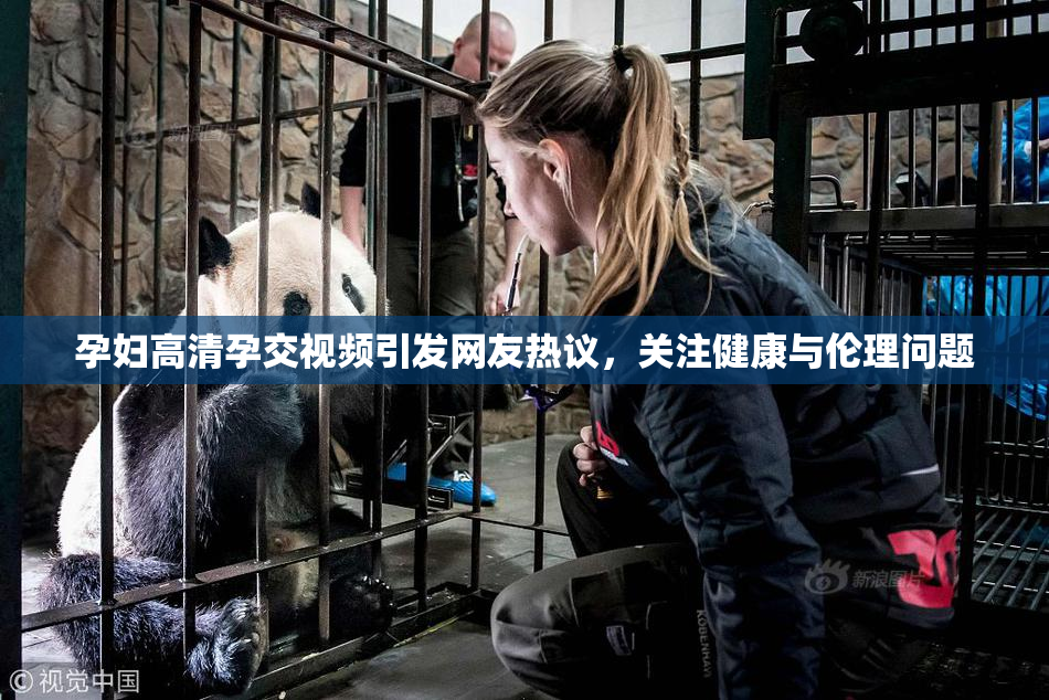 孕妇高清孕交视频引发网友热议，关注健康与伦理问题