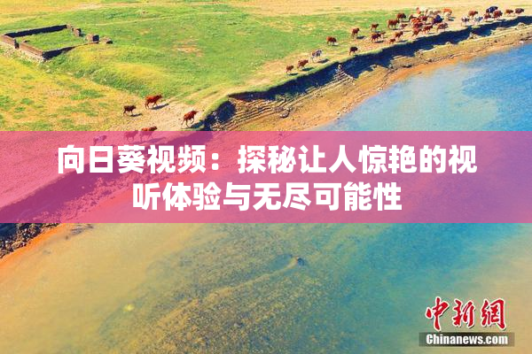 向日葵视频：探秘让人惊艳的视听体验与无尽可能性