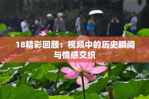 18精彩回顾：视频中的历史瞬间与情感交织