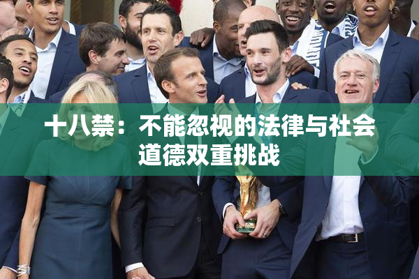 十八禁：不能忽视的法律与社会道德双重挑战