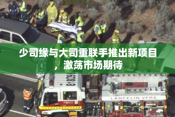 少司缘与大司重联手推出新项目，激荡市场期待