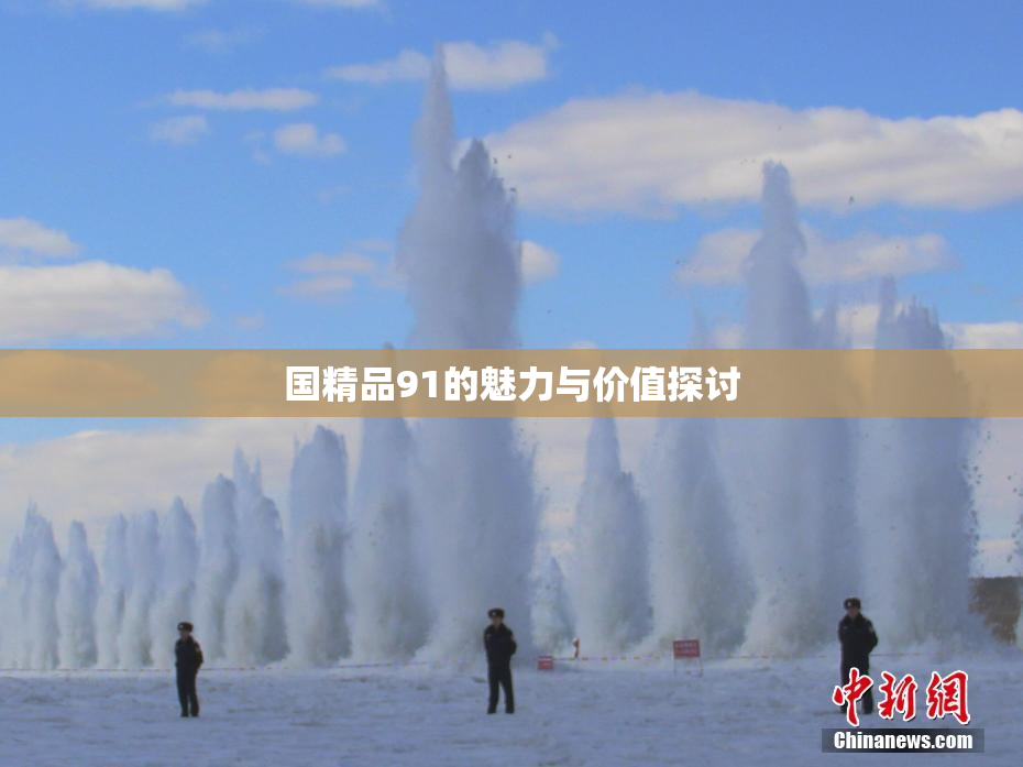 国精品91的魅力与价值探讨