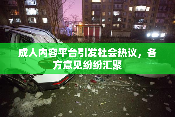 成人内容平台引发社会热议，各方意见纷纷汇聚