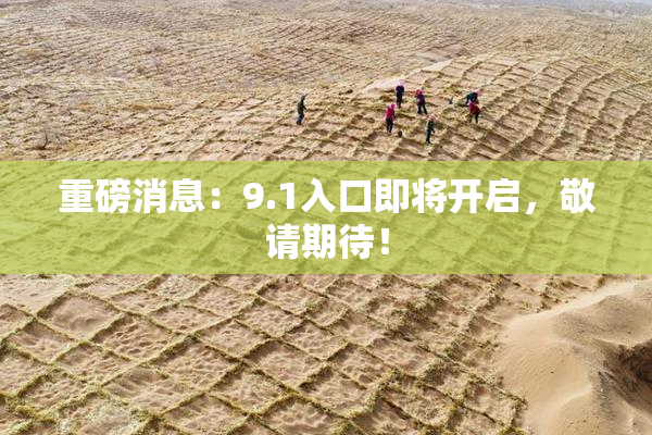 重磅消息：9.1入口即将开启，敬请期待！