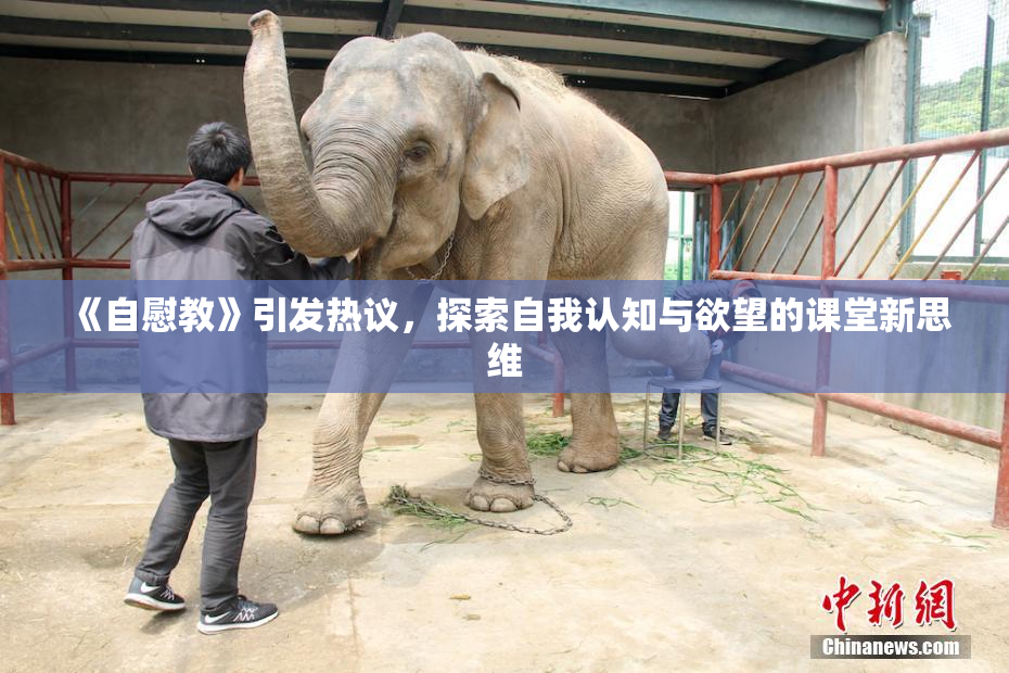 《自慰教》引发热议，探索自我认知与欲望的课堂新思维