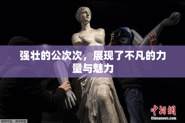 强壮的公次次，展现了不凡的力量与魅力