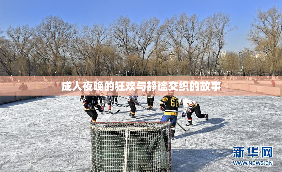成人夜晚的狂欢与静谧交织的故事