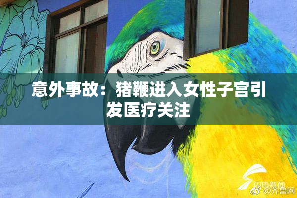 意外事故：猪鞭进入女性子宫引发医疗关注