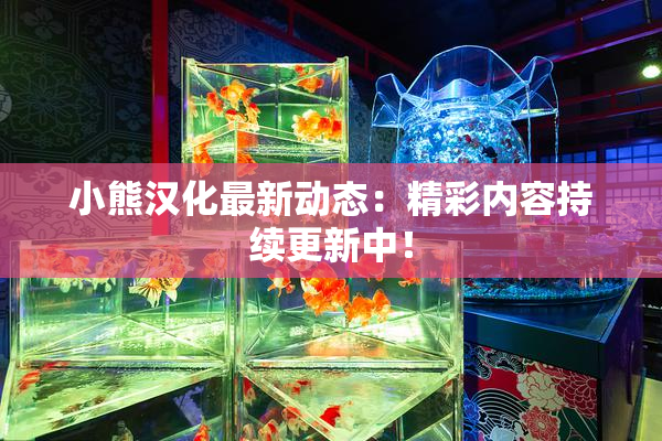 小熊汉化最新动态：精彩内容持续更新中！
