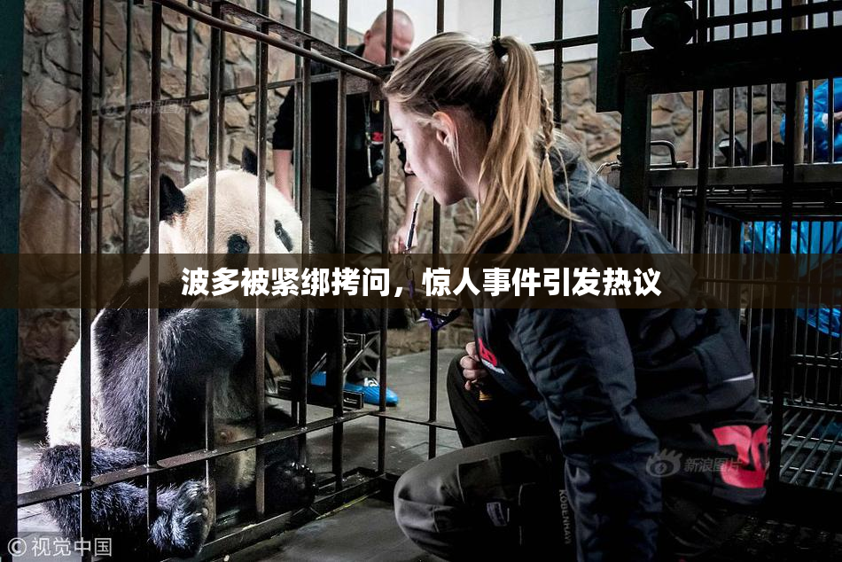 波多被紧绑拷问，惊人事件引发热议