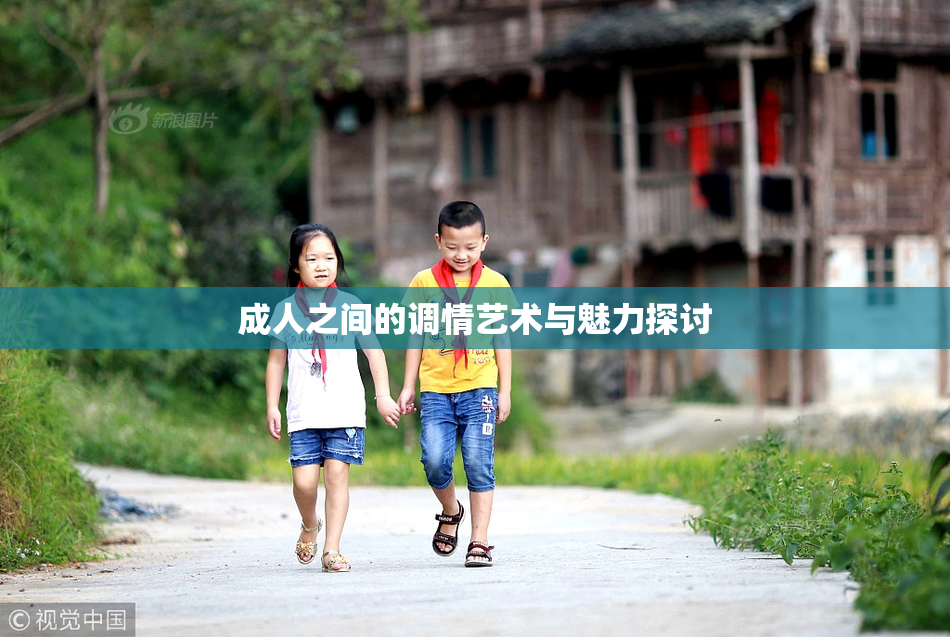 成人之间的调情艺术与魅力探讨