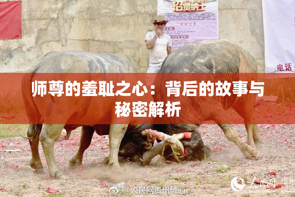 师尊的羞耻之心：背后的故事与秘密解析