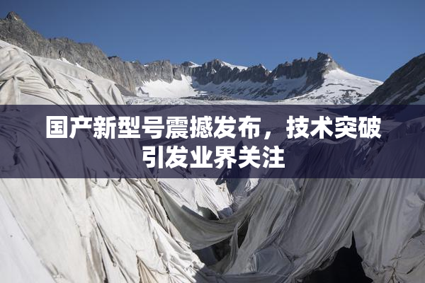 国产新型号震撼发布，技术突破引发业界关注