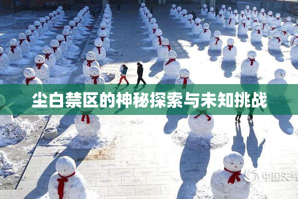 尘白禁区的神秘探索与未知挑战