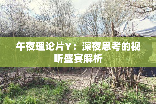 午夜理论片Y：深夜思考的视听盛宴解析