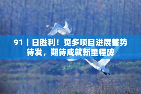 91丨日胜利！更多项目进展蓄势待发，期待成就新里程碑