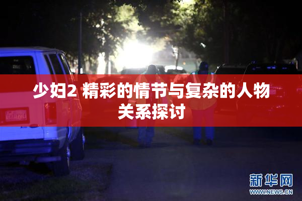 少妇2 精彩的情节与复杂的人物关系探讨