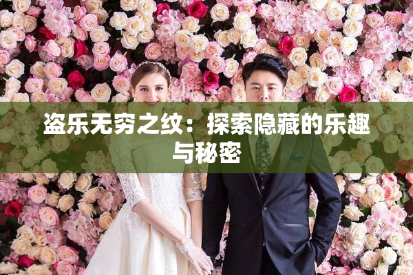 盗乐无穷之纹：探索隐藏的乐趣与秘密
