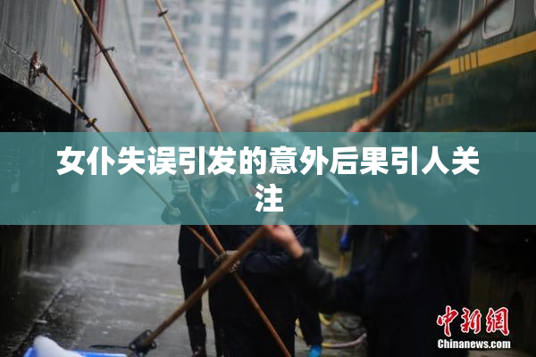 女仆失误引发的意外后果引人关注