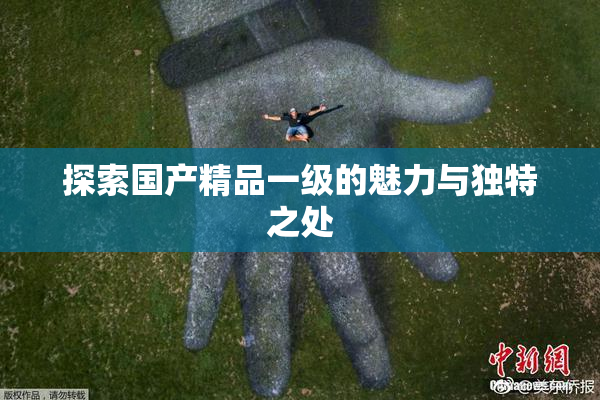 探索国产精品一级的魅力与独特之处