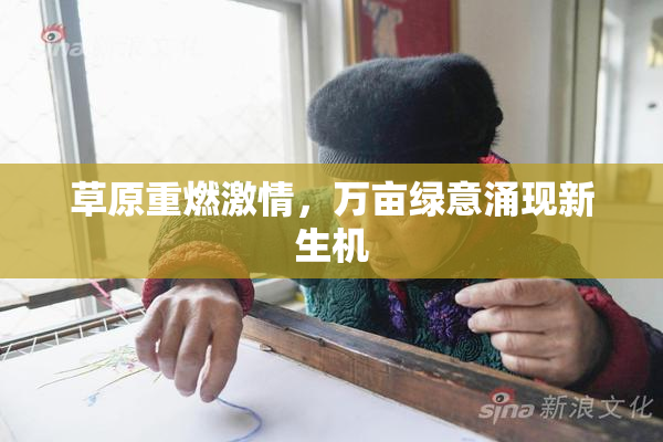 草原重燃激情，万亩绿意涌现新生机