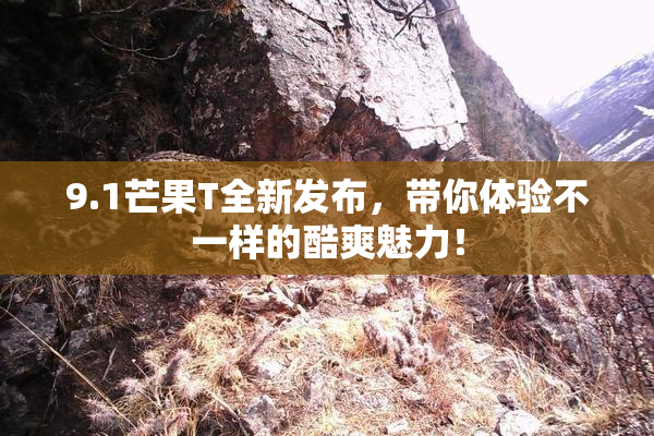 9.1芒果T全新发布，带你体验不一样的酷爽魅力！