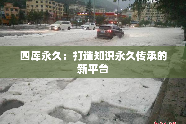 四库永久：打造知识永久传承的新平台