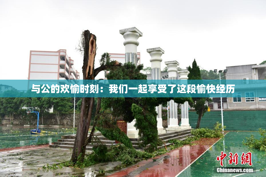 与公的欢愉时刻：我们一起享受了这段愉快经历