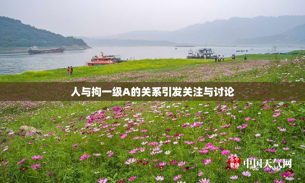 人与拘一级A的关系引发关注与讨论