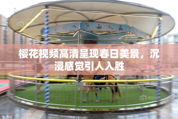樱花视频高清呈现春日美景，沉浸感觉引人入胜