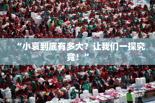 “小哀到底有多大？让我们一探究竟！”