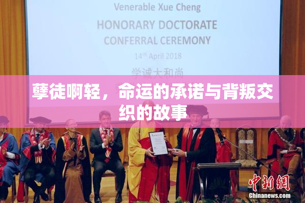 孽徒啊轻，命运的承诺与背叛交织的故事