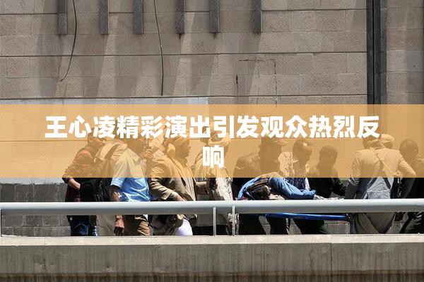 王心凌精彩演出引发观众热烈反响