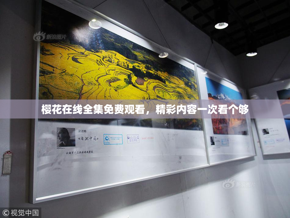 樱花在线全集免费观看，精彩内容一次看个够