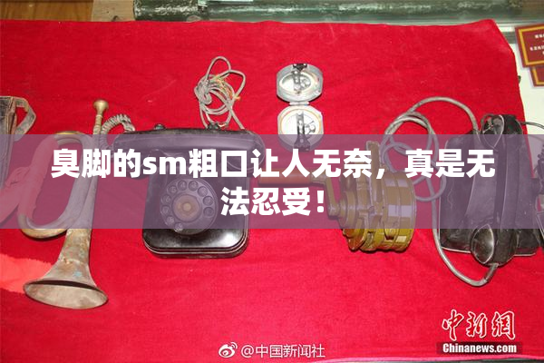 臭脚的sm粗口让人无奈，真是无法忍受！