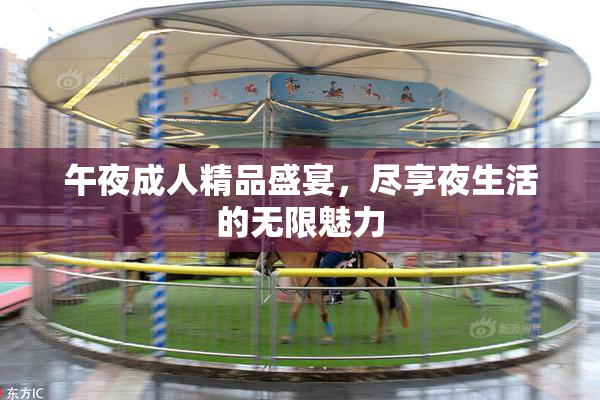 午夜成人精品盛宴，尽享夜生活的无限魅力