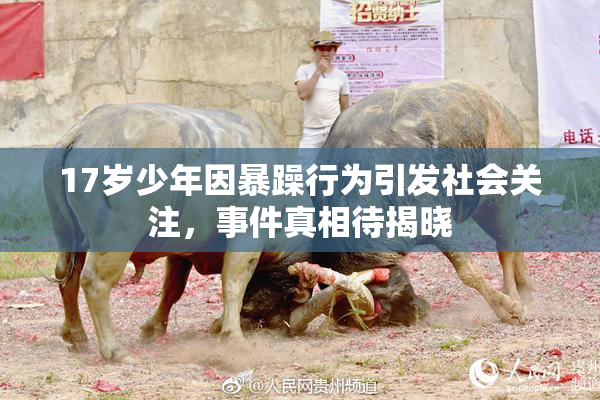 17岁少年因暴躁行为引发社会关注，事件真相待揭晓