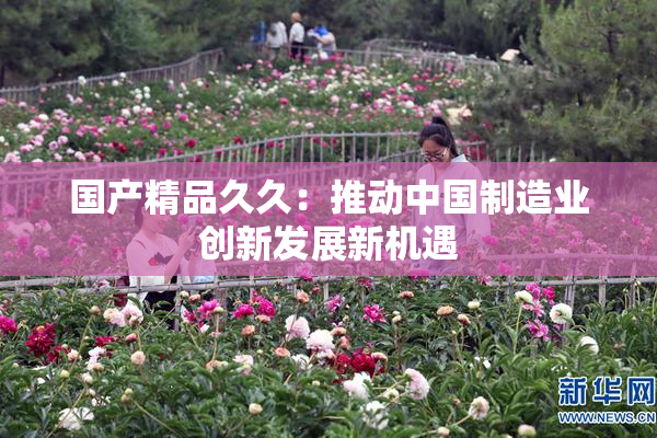 国产精品久久：推动中国制造业创新发展新机遇