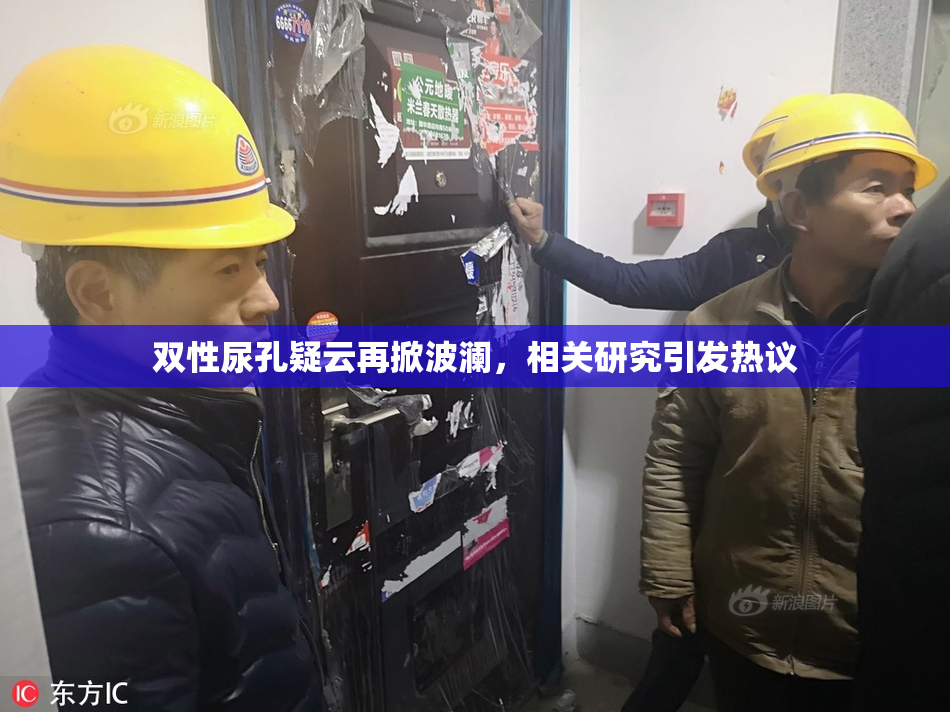 双性尿孔疑云再掀波澜，相关研究引发热议