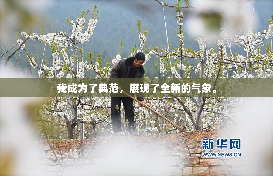 我成为了典范，展现了全新的气象。